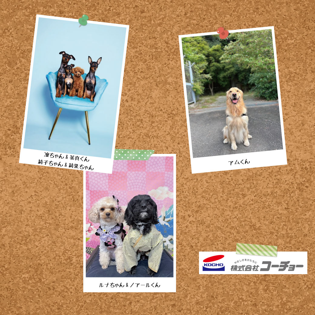 第5期コーチョー公式アンバサダー様のご紹介(ワンちゃん編)